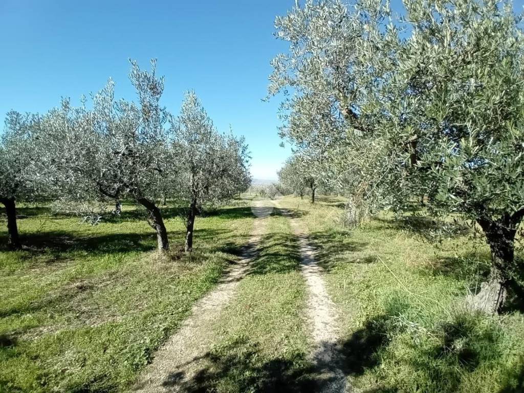 Terreno a Spoleto in frazione Santo Polo S. Maria Reggiana, 2 - Foto 2