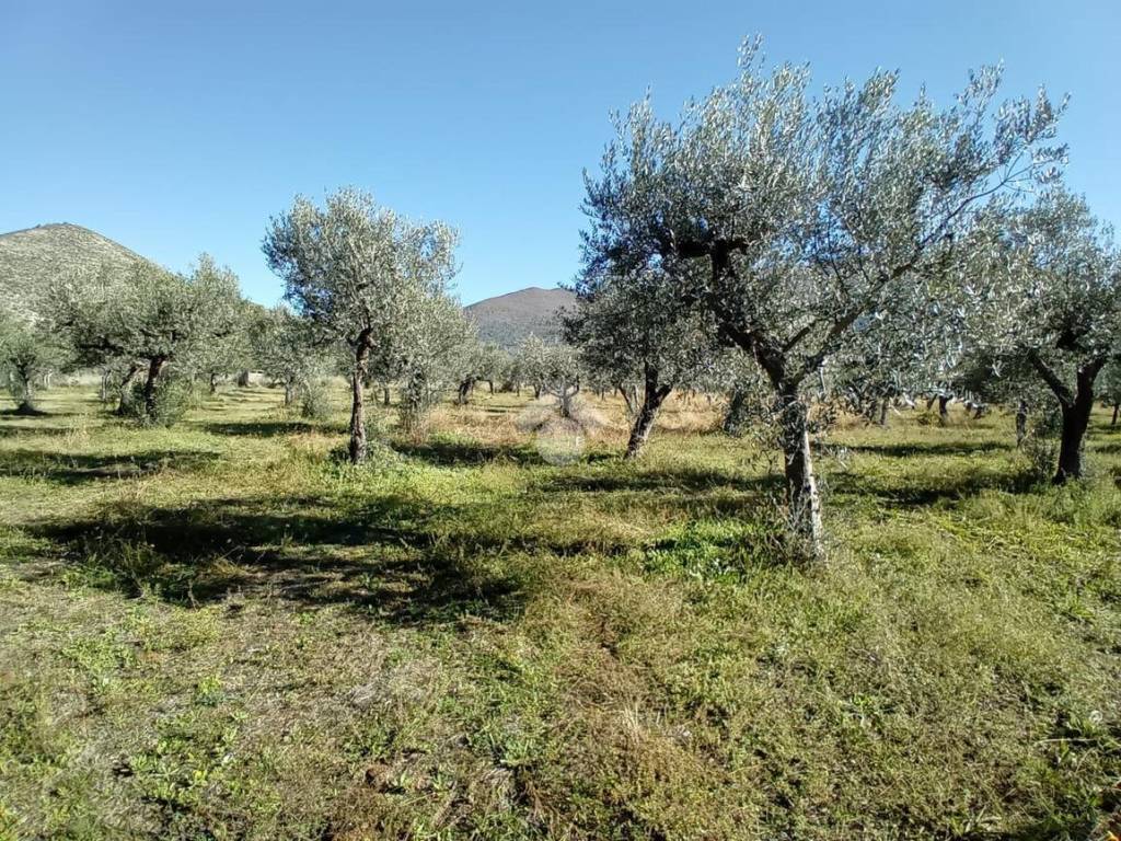 Terreno a Spoleto in frazione Santo Polo S. Maria Reggiana, 2 - Foto 4