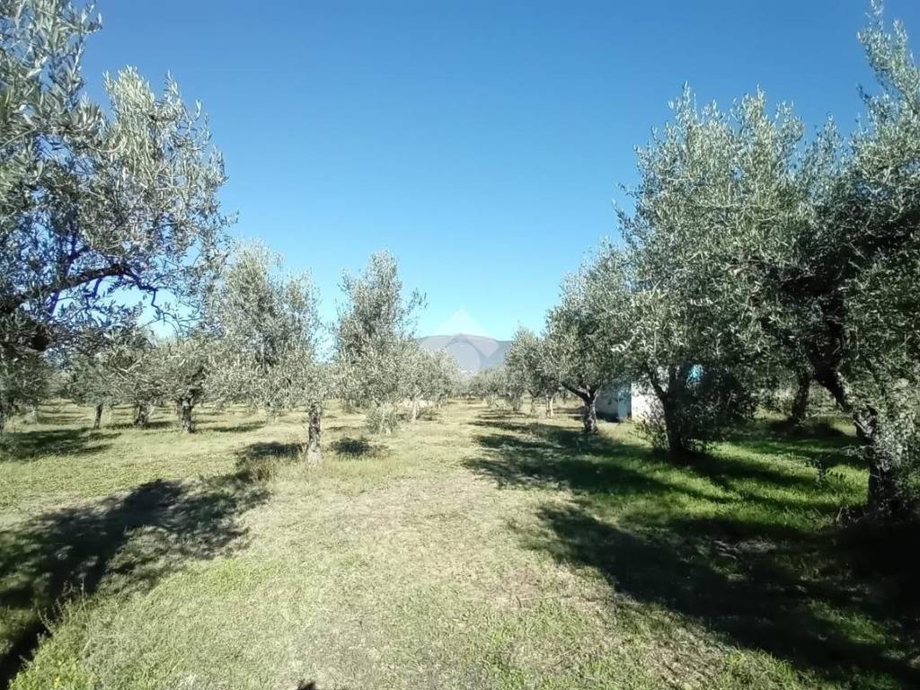 Terreno a Spoleto in frazione Santo Polo S. Maria Reggiana, 2 - Foto 5