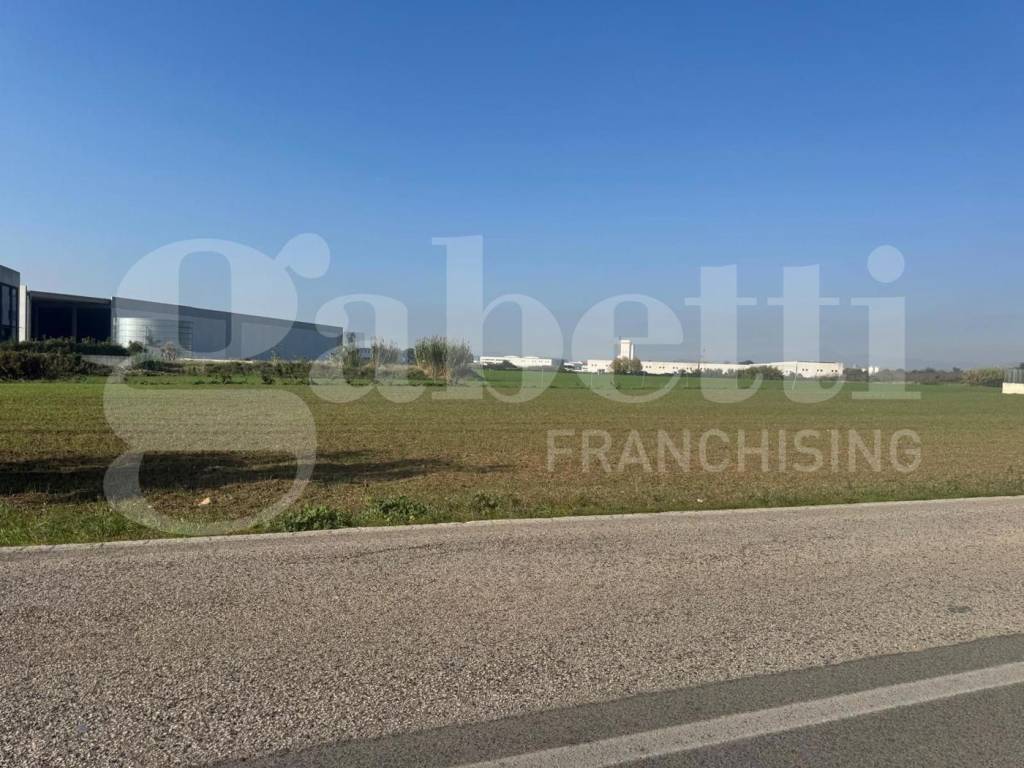 Terreno a Vitulazio in Strada Provinciale per Vitulazio - Foto 2