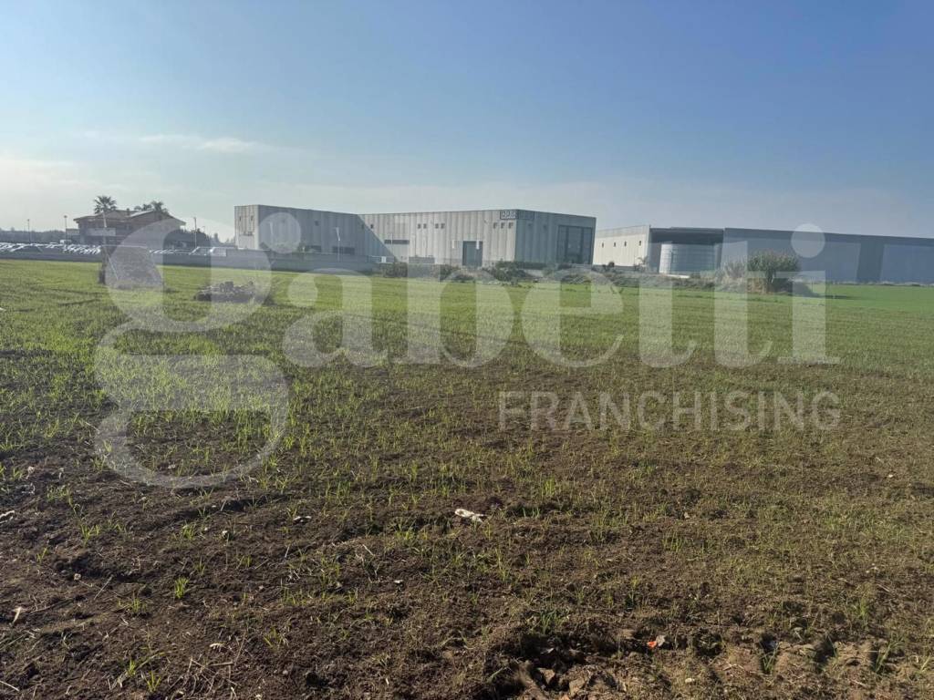 Terreno a Vitulazio in Strada Provinciale per Vitulazio - Foto 3