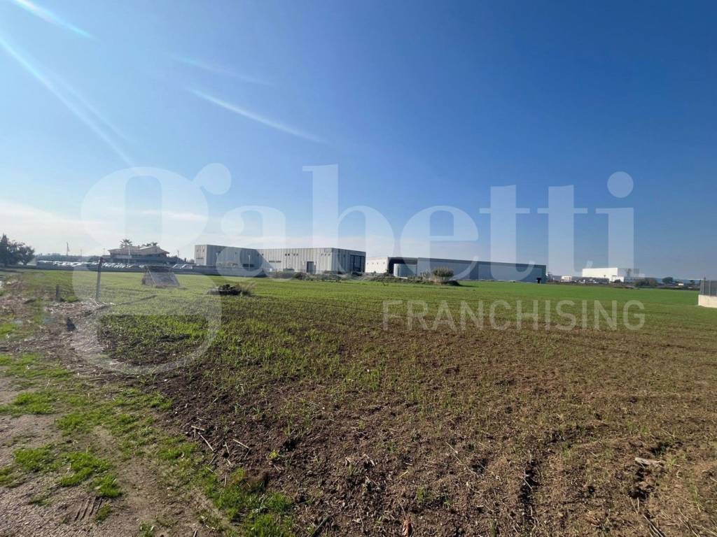 Terreno a Vitulazio in Strada Provinciale per Vitulazio - Foto 4