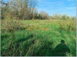 Terreno a Palosco in VIA TELGATE - Foto 4