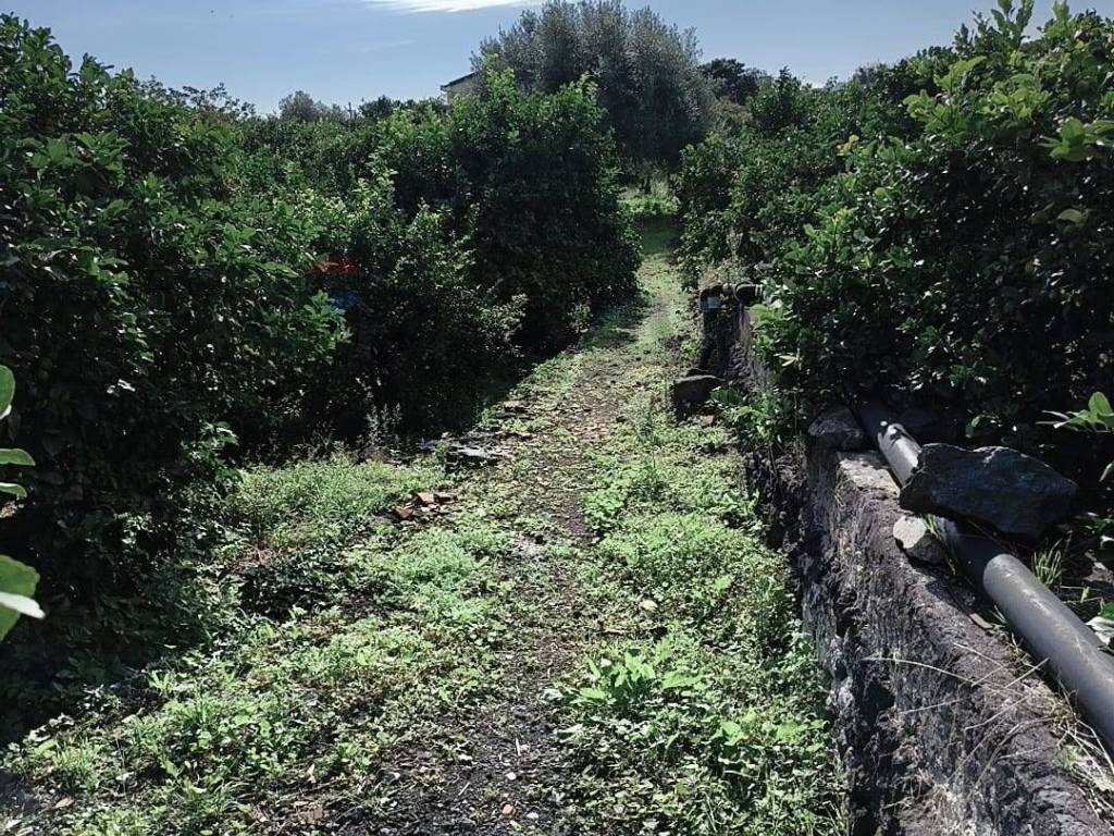 Terreno a Acireale in Via Della Rinascita - Foto 2