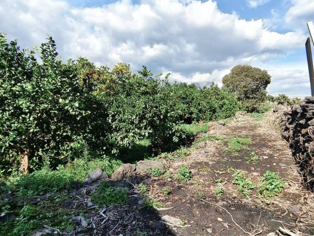 Terreno a Acireale in Via Della Rinascita - Foto 5