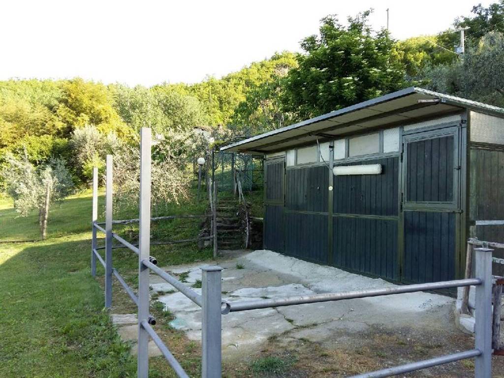 Rustico / casale a Vicchio - Foto 5