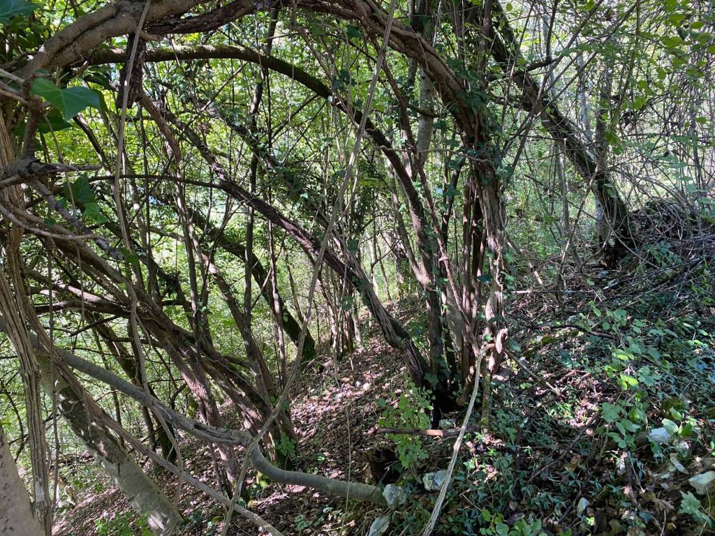 Terreno a Sospirolo in Localita alle Rosse - Foto 2