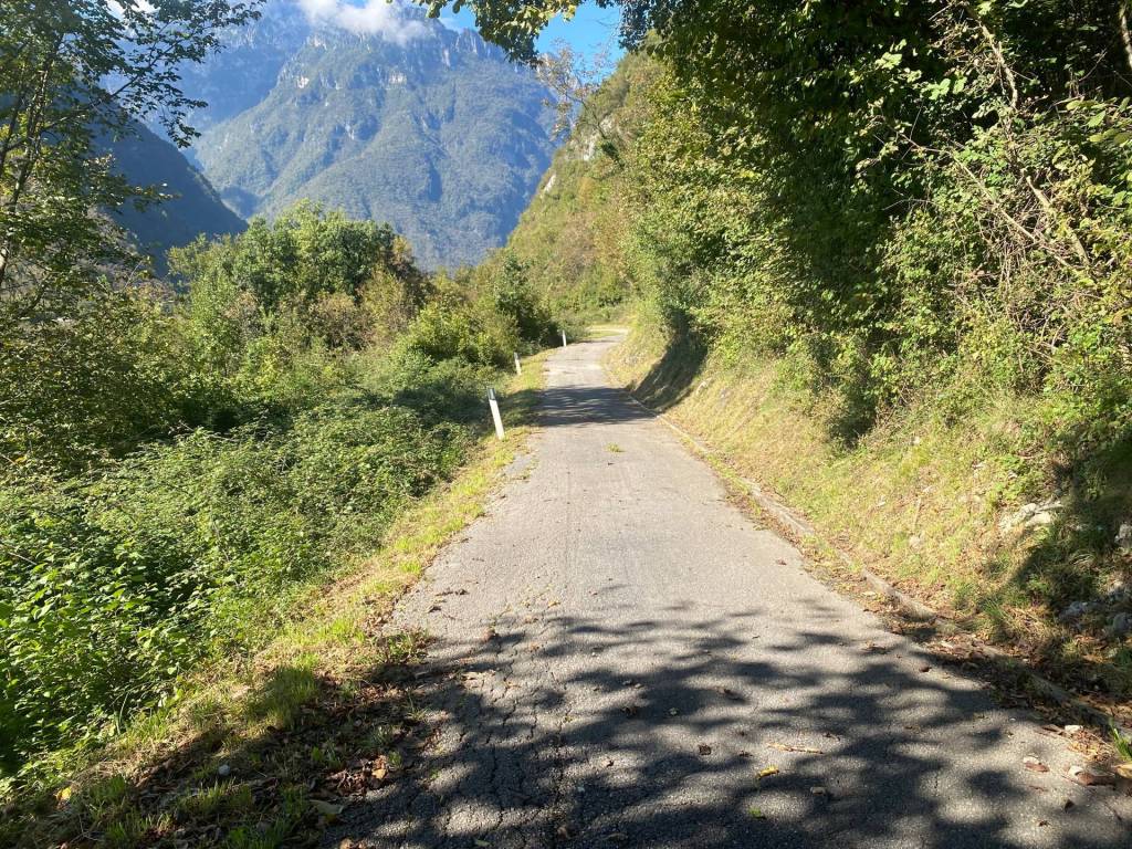 Terreno a Sospirolo in Localita alle Rosse - Foto 3