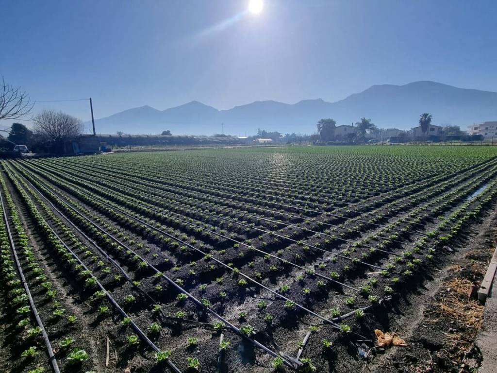 Terreno a Angri in Via Orta Loreto - Foto 5