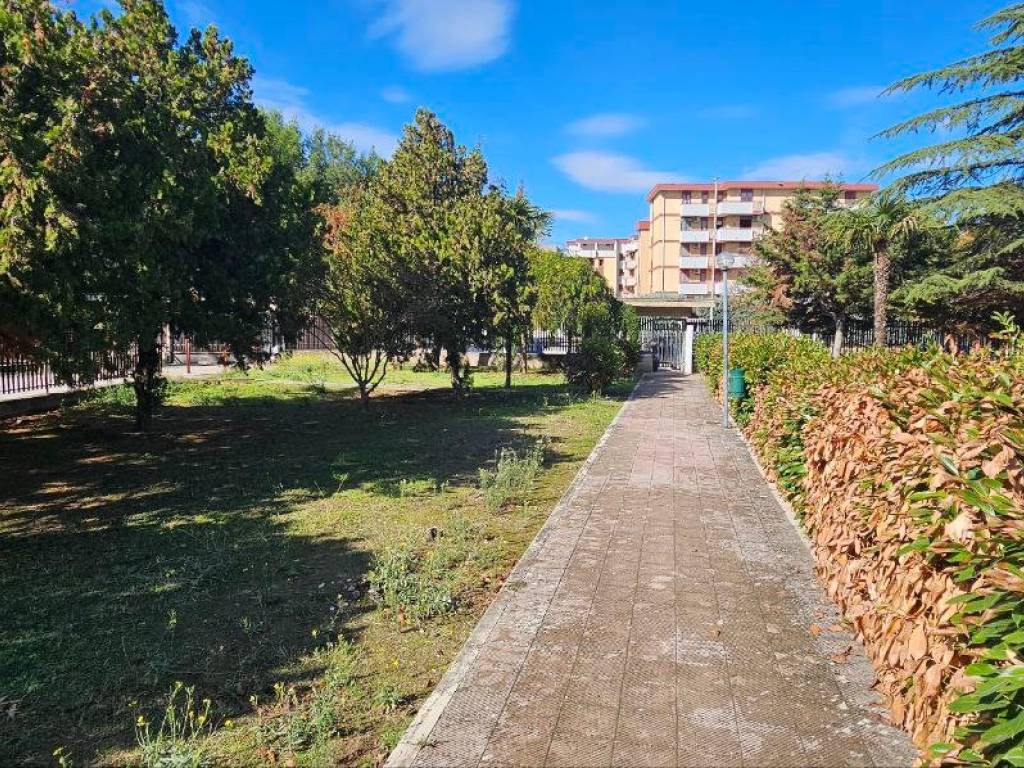 Appartamento a Cerignola in Via Monviso, 1 - Foto 5