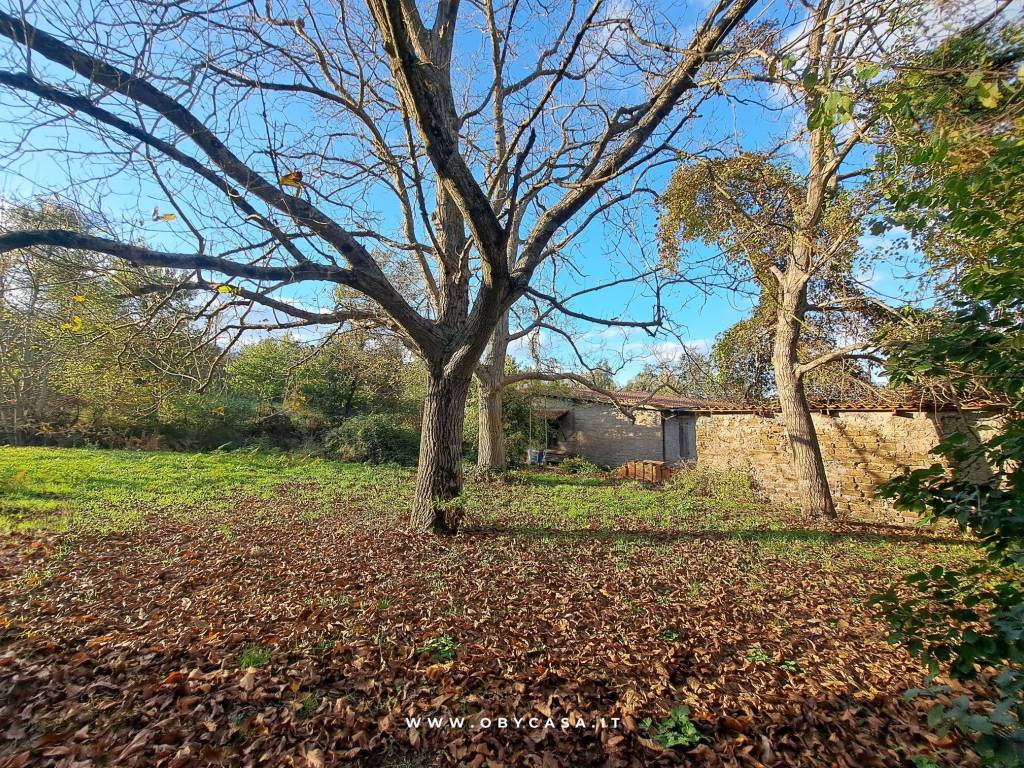 Villa a Bassano romano - Foto 4