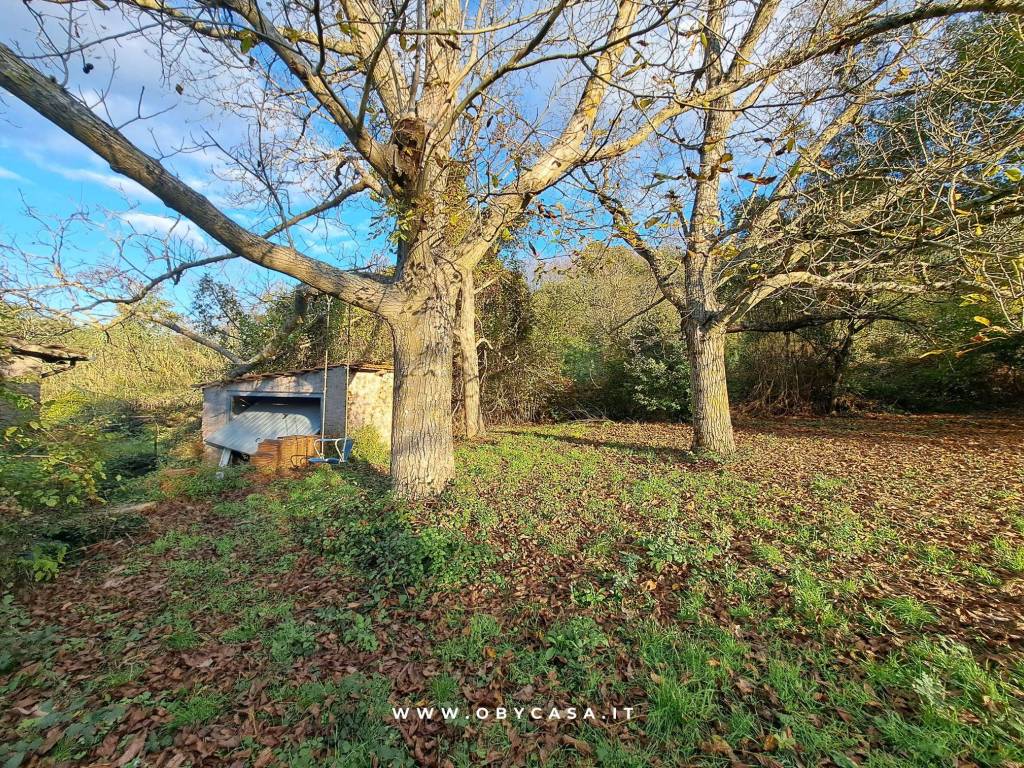 Villa a Bassano romano - Foto 5