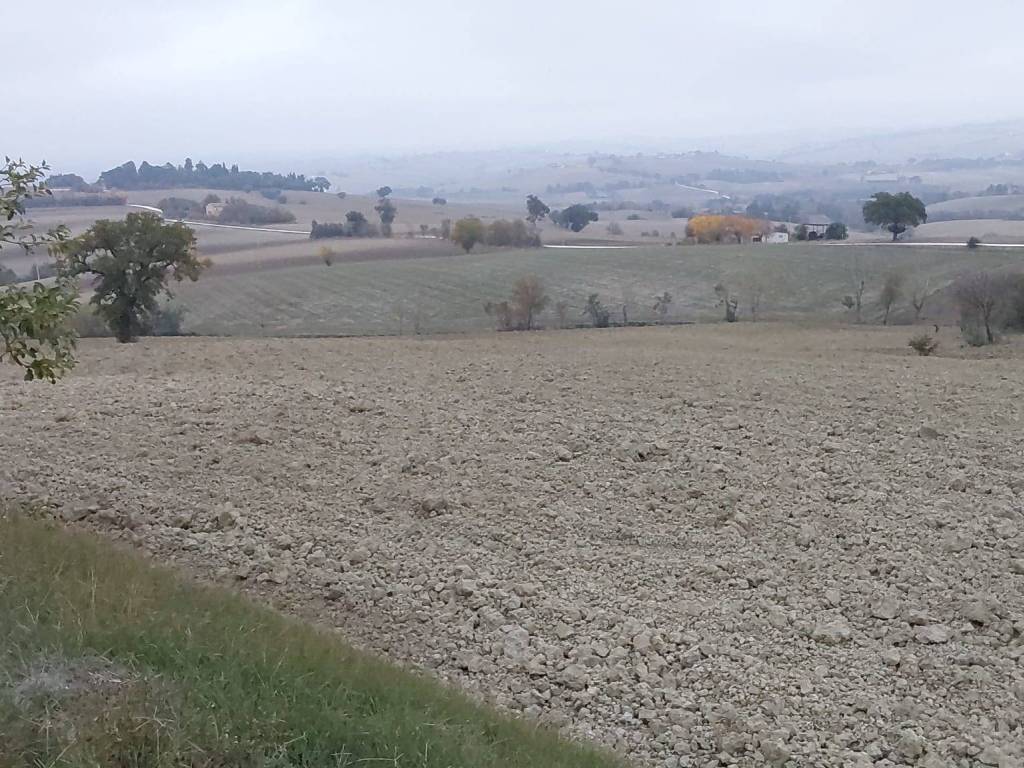 Terreno a Appignano - Foto 2