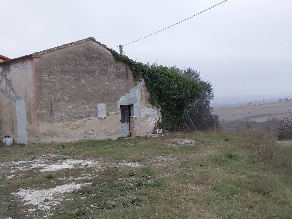 Terreno a Appignano - Foto 3