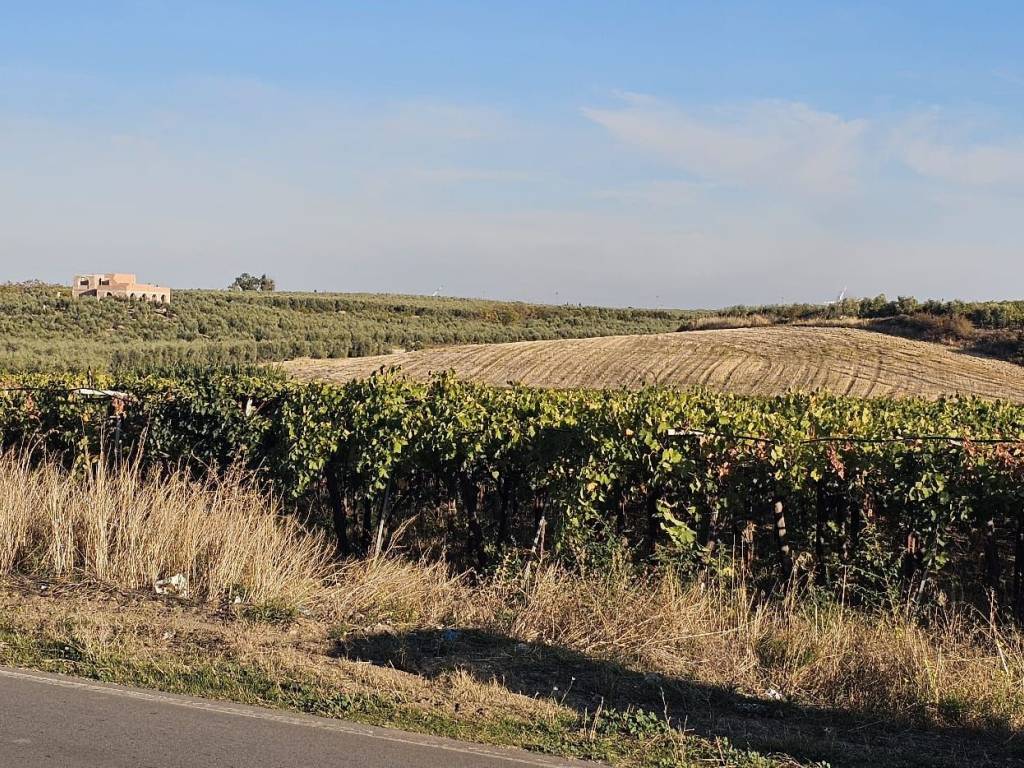 Terreno a Cerignola in Strada Provinciale Candela-Cerignola - Foto 5