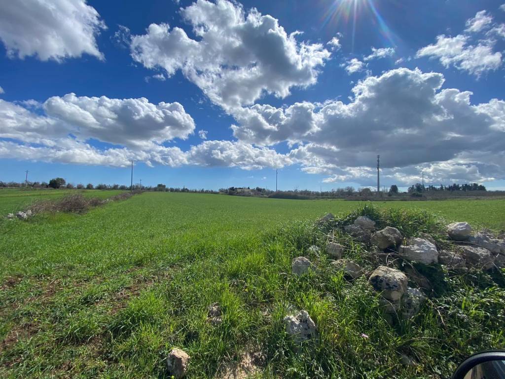 Terreno a Sanarica in Via Contrada Conelle - Foto 2