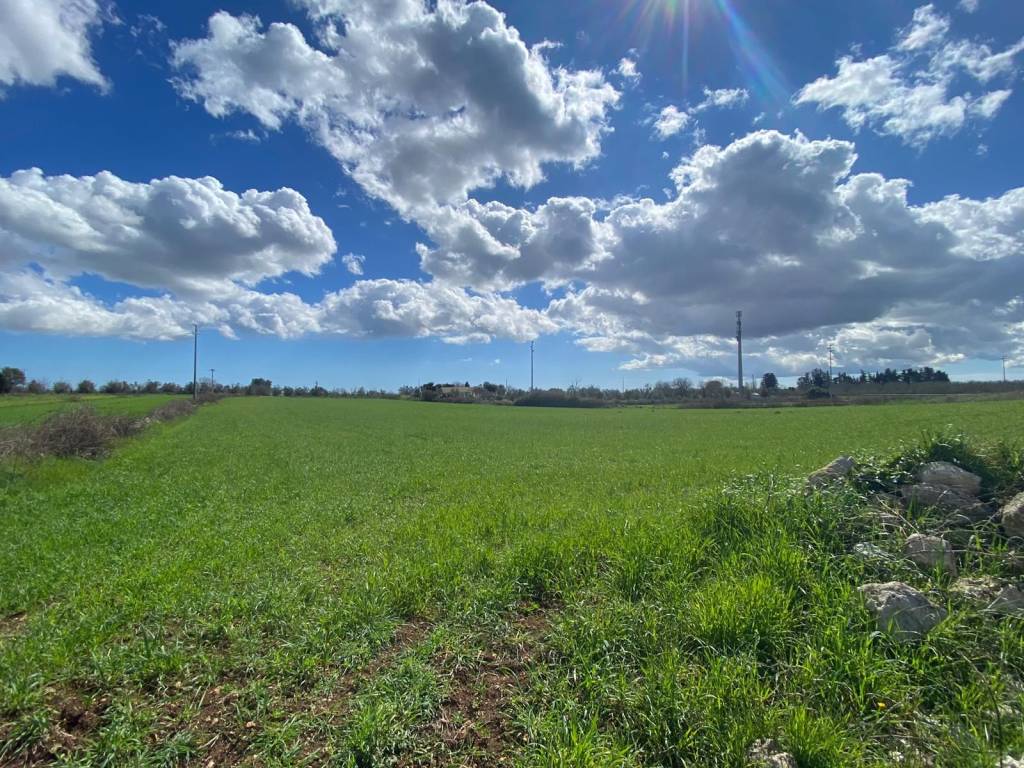Terreno a Sanarica in Via Contrada Conelle - Foto 3