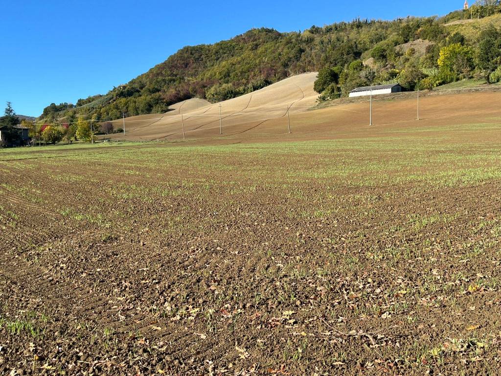 Terreno a Valsamoggia in Via Valle del Samoggia, 5364 - Foto 3