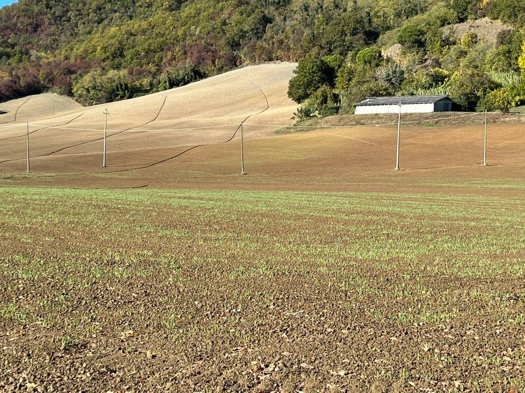 Terreno a Valsamoggia in Via Valle del Samoggia, 5364 - Foto 5