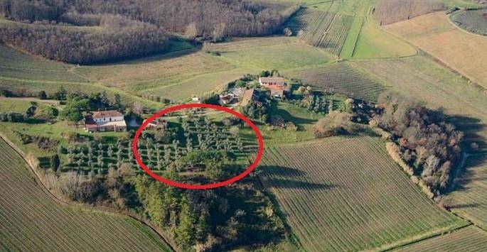 Terreno a Cerreto guidi - Foto 4