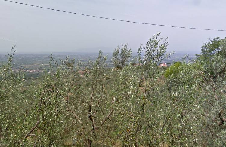 Terreno a Vinci - Foto 2