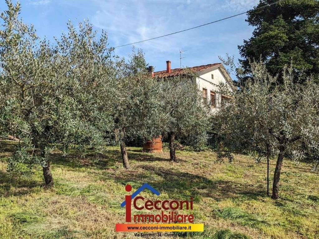 Casa indipendente a Cerreto guidi - Foto 3