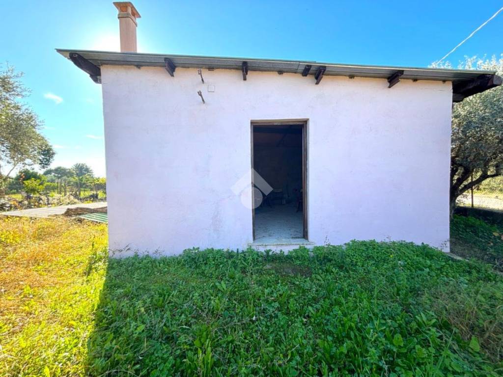 Rustico / casale a Lanuvio in Isola del Giglio, 11 - Foto 2