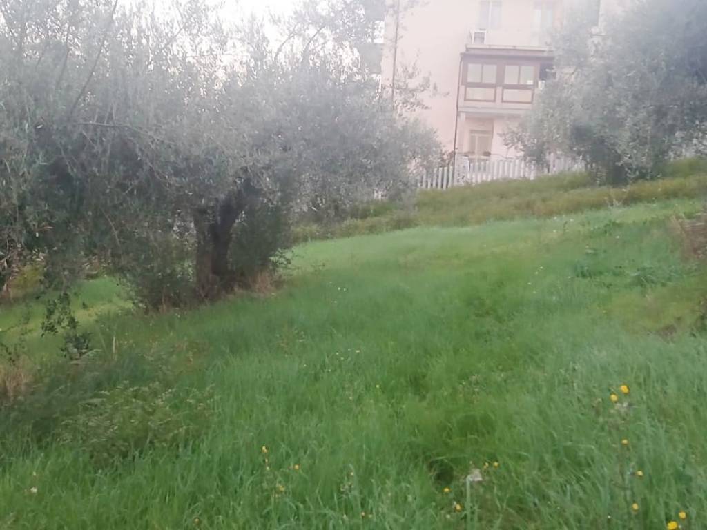 Terreno a Silvi in Contrada Santo Stefano, 137 - Foto 4