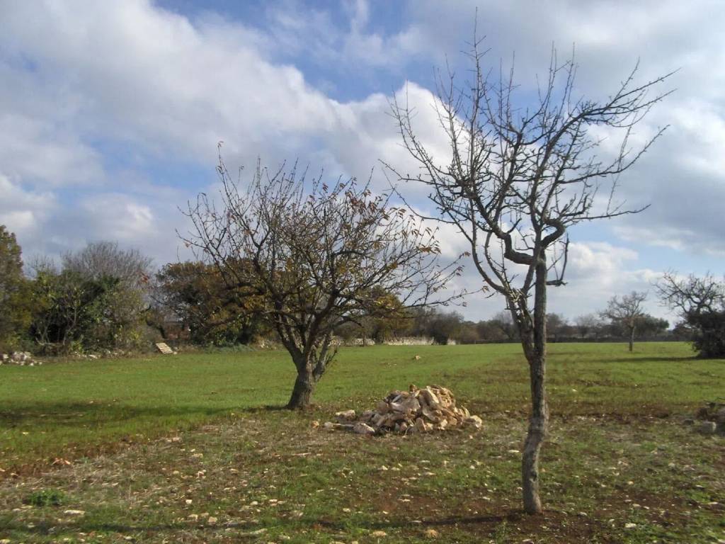 Rustico / casale a Noci in Contrada Le Gatte S.N.C. - Foto 4