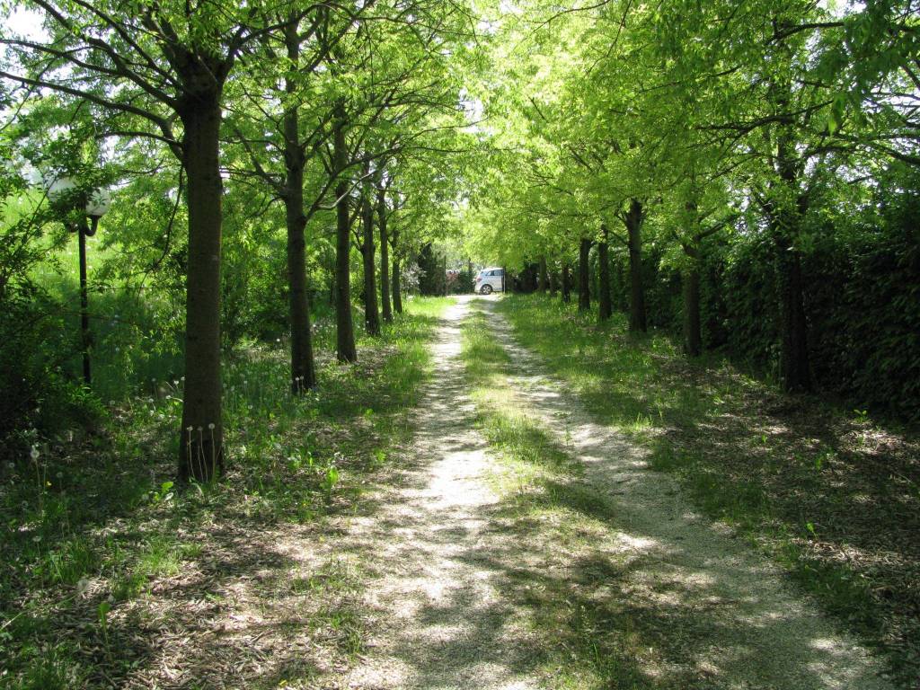 Rustico / casale a Salò - Foto 3