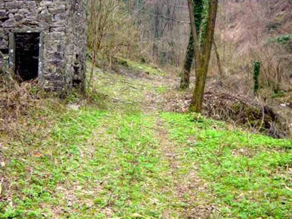 Rustico / casale a Fosciandora in Località Casetta - Foto 2