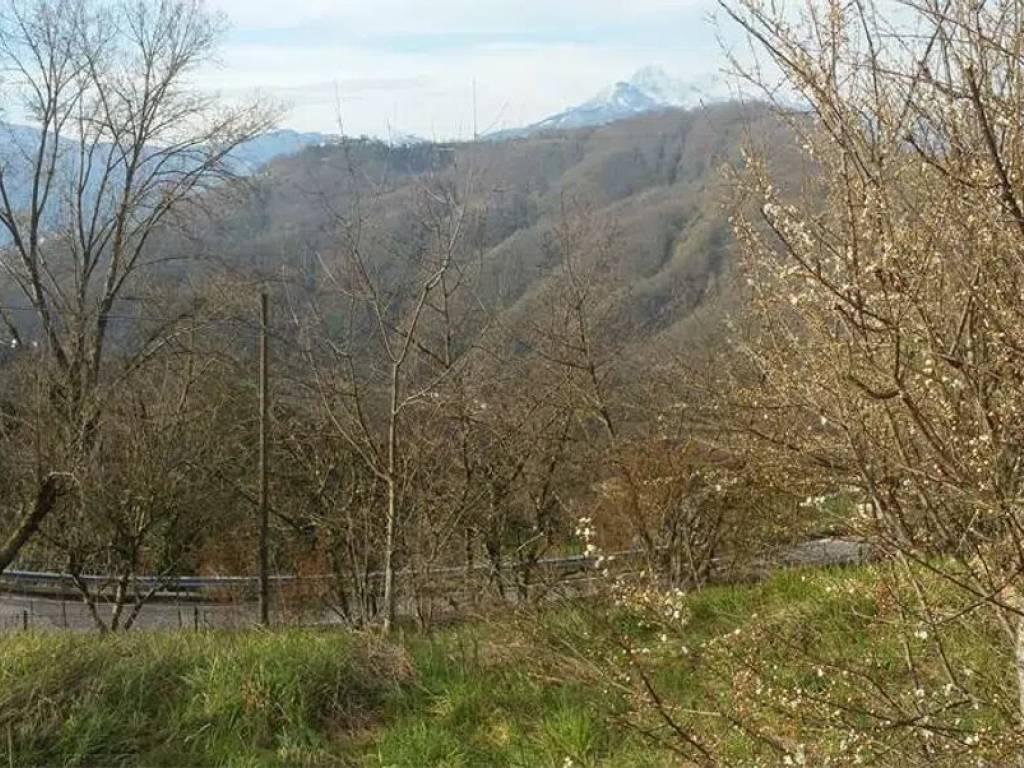 Rustico / casale a Fosciandora in Via Guglielmo Marconi - Foto 4