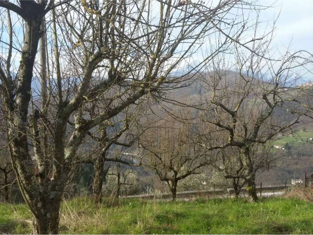 Rustico / casale a Fosciandora in Via Guglielmo Marconi - Foto 5