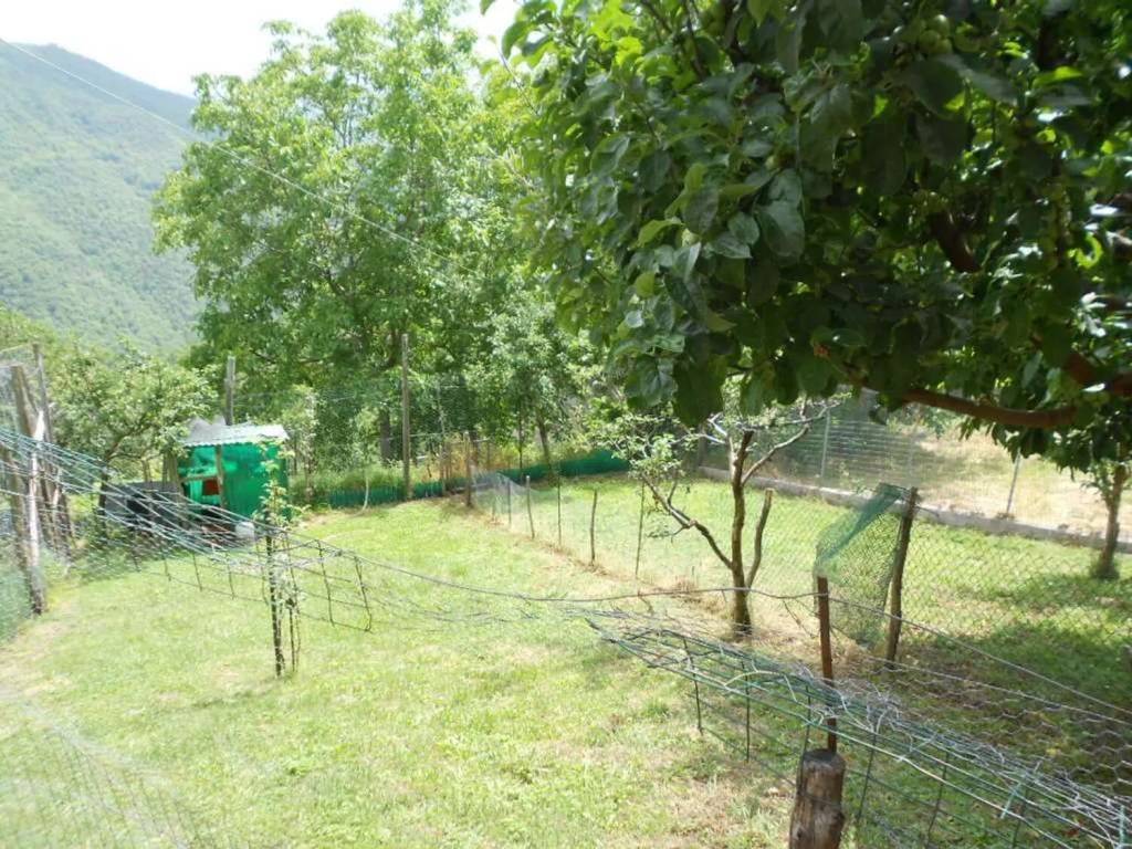 Rustico / casale a Pieve fosciana in Strada Comunale Di Capraia - Foto 5