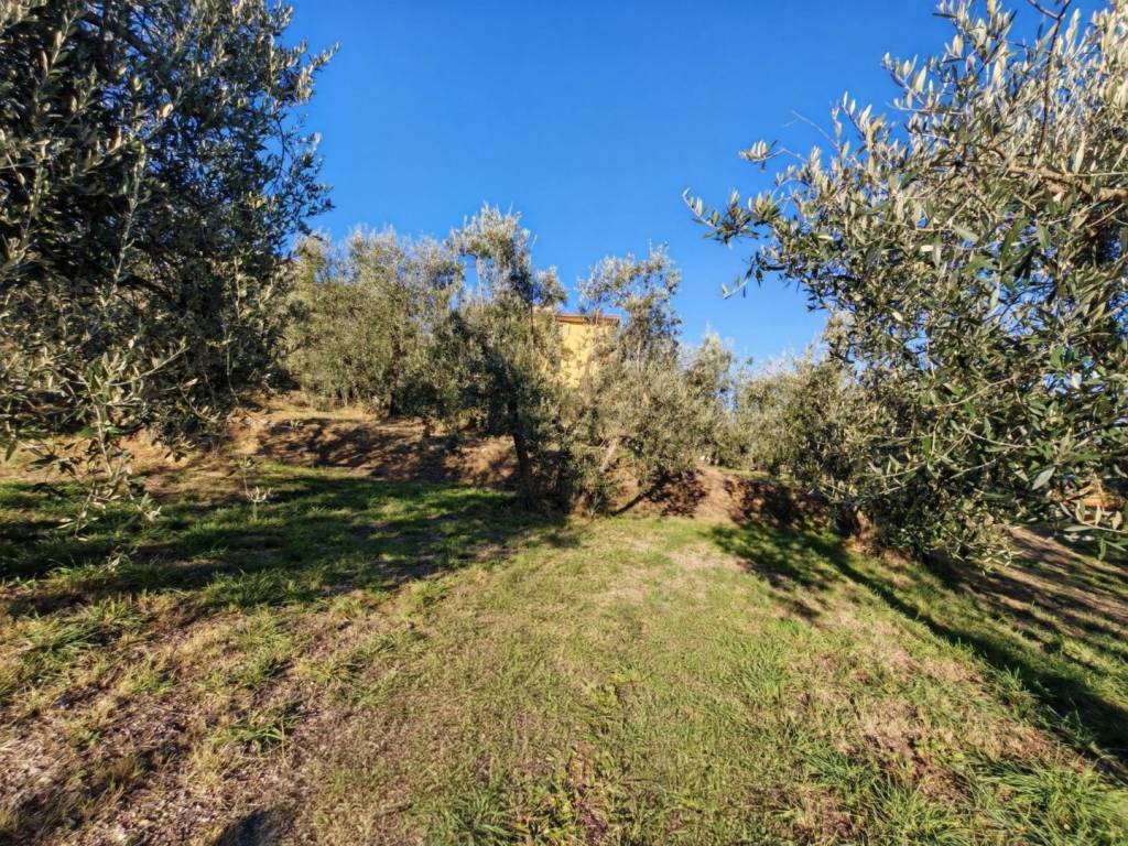 Terreno a Lucignano in Via Fonte Becci - Foto 5