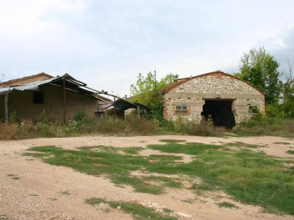 Rustico / casale a Rapolano terme - Foto 3