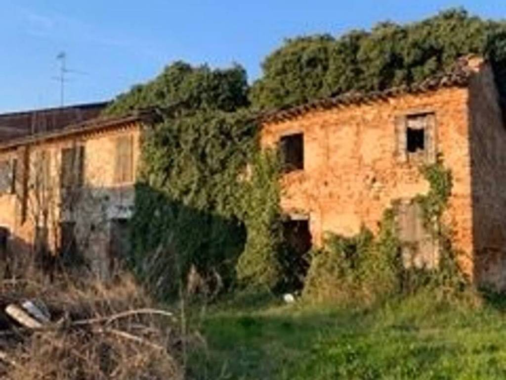 Rustico / casale a Pressana - Foto 2