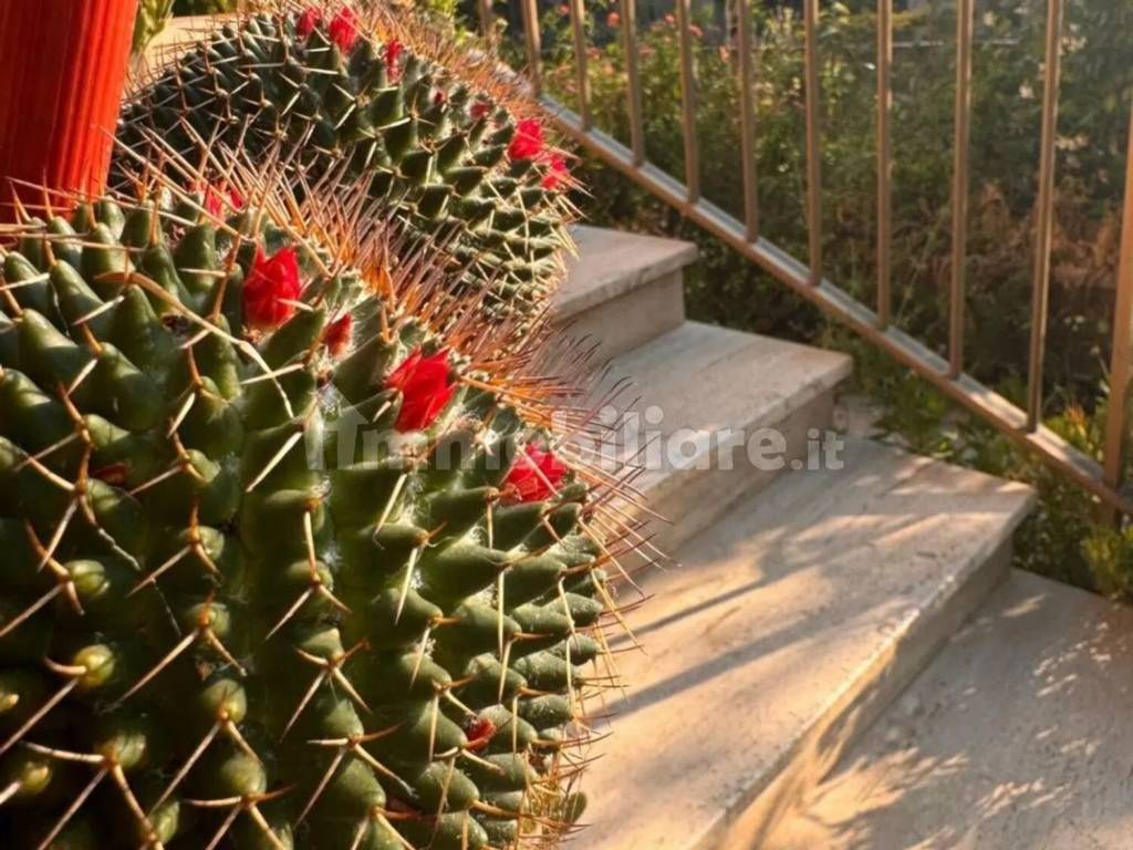 Villa a Tivoli in Via Luigi Pirandello, 63 - Foto 3