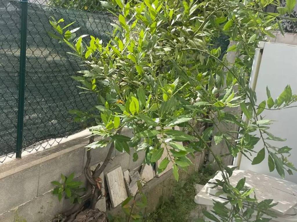Appartamento a Guidonia montecelio in Via Sardegna, 14 - Foto 3