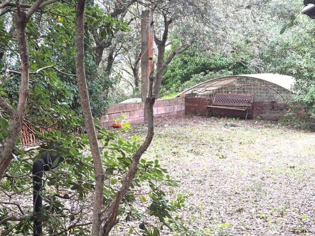 Casa indipendente a Livorno in Via del Littorale, 182 - Foto 2