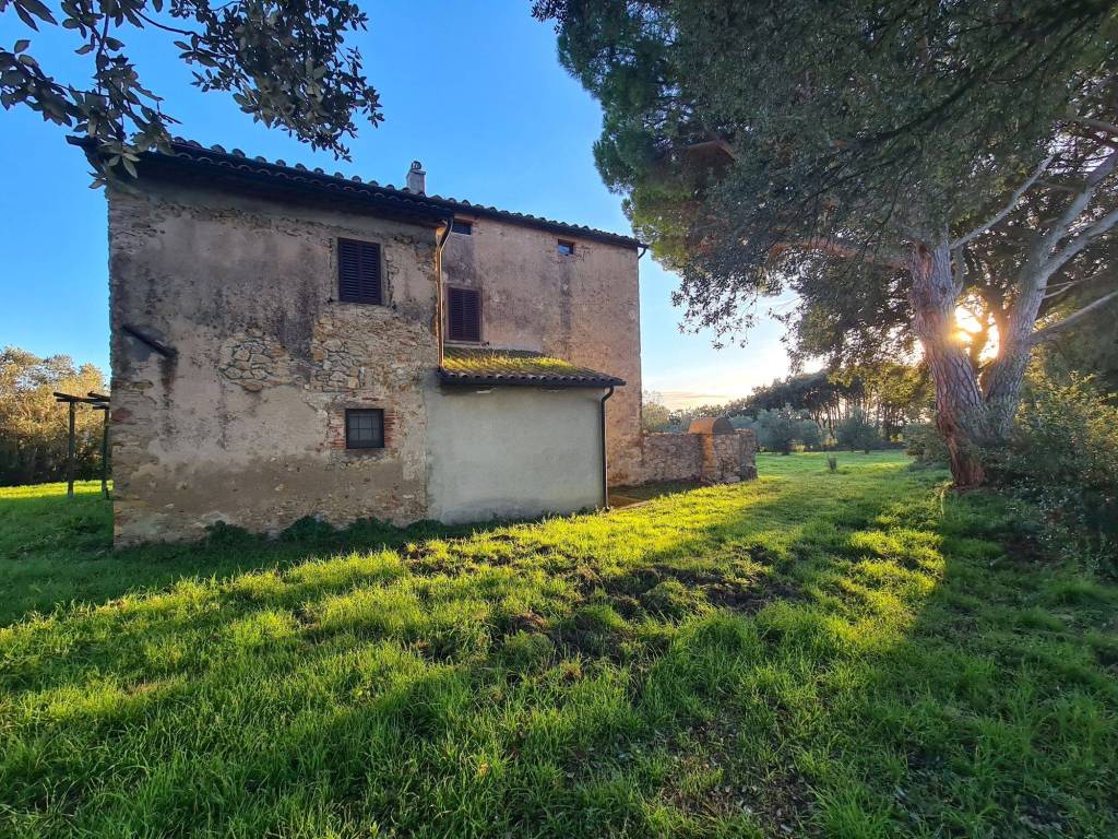 Rustico / casale a Guardistallo in Strada Provinciale dei Tre Comuni - Foto 5