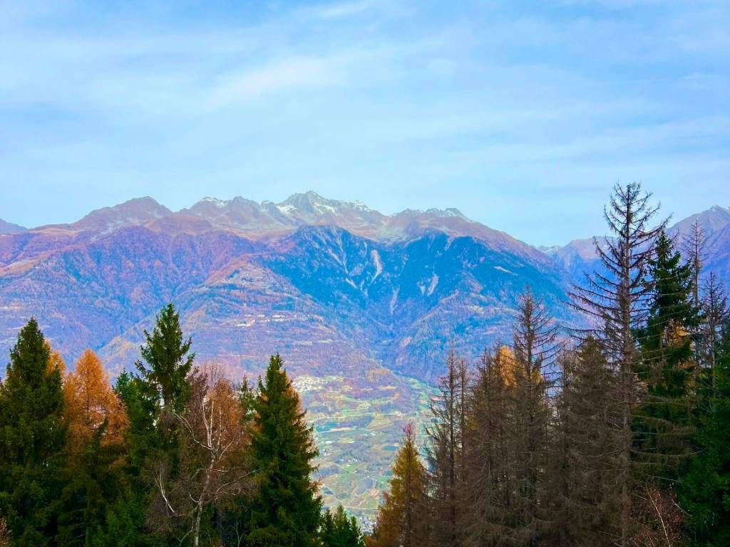 Rustico / casale a Sondrio - Foto 2