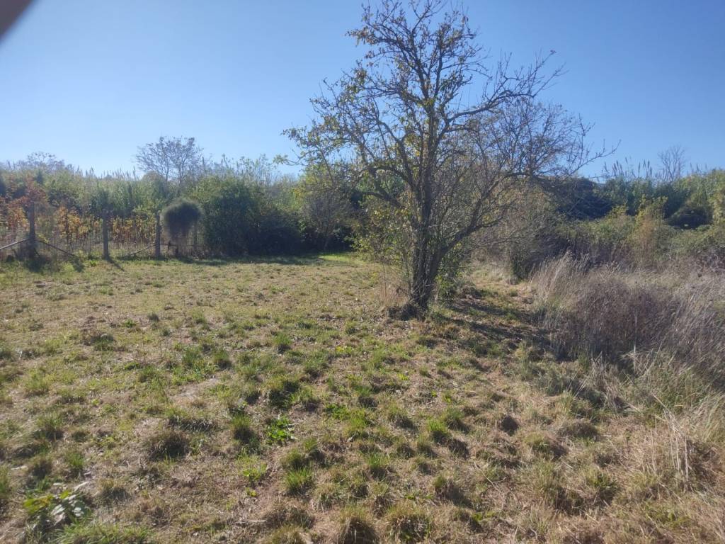 Terreno a Ciampino in Vicolo Patatona - Foto 2