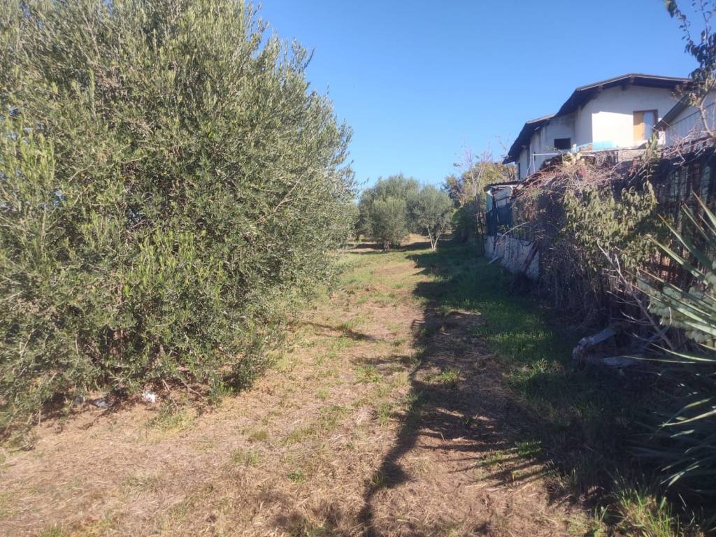 Terreno a Ciampino in Vicolo Patatona - Foto 3