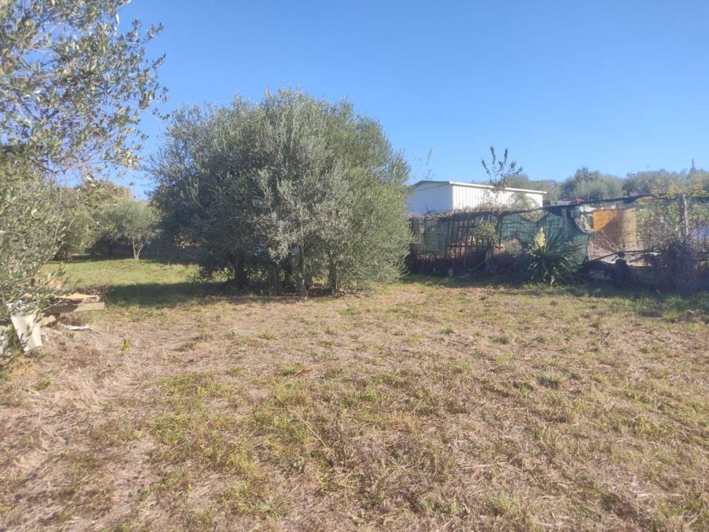 Terreno a Ciampino in Vicolo Patatona - Foto 5