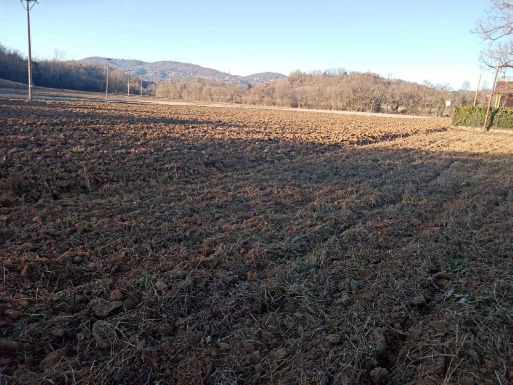 Terreno a Cambiano - Foto 2
