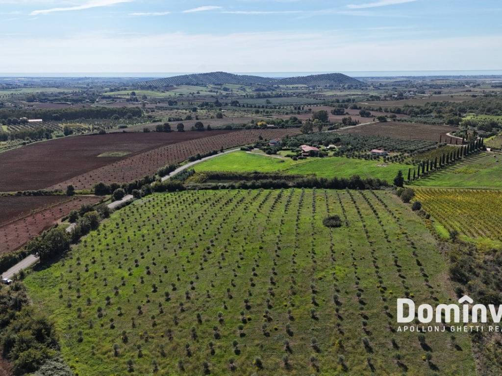 Terreno a Capalbio in Strada valmarina - Foto 2