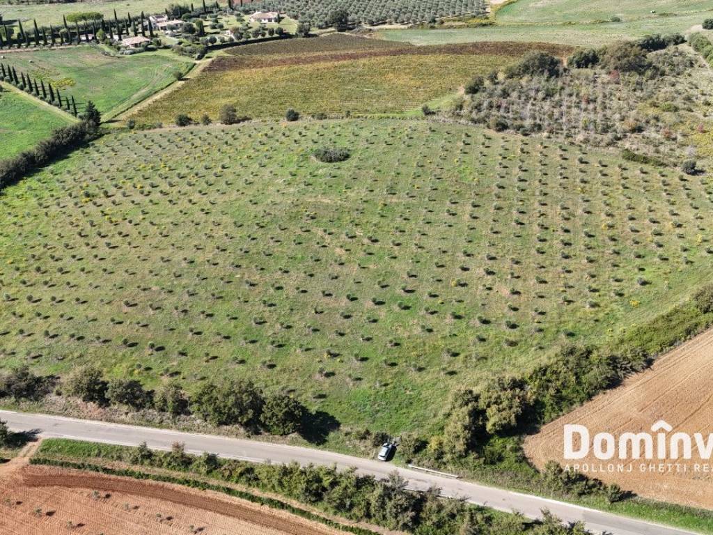 Terreno a Capalbio in Strada valmarina - Foto 3