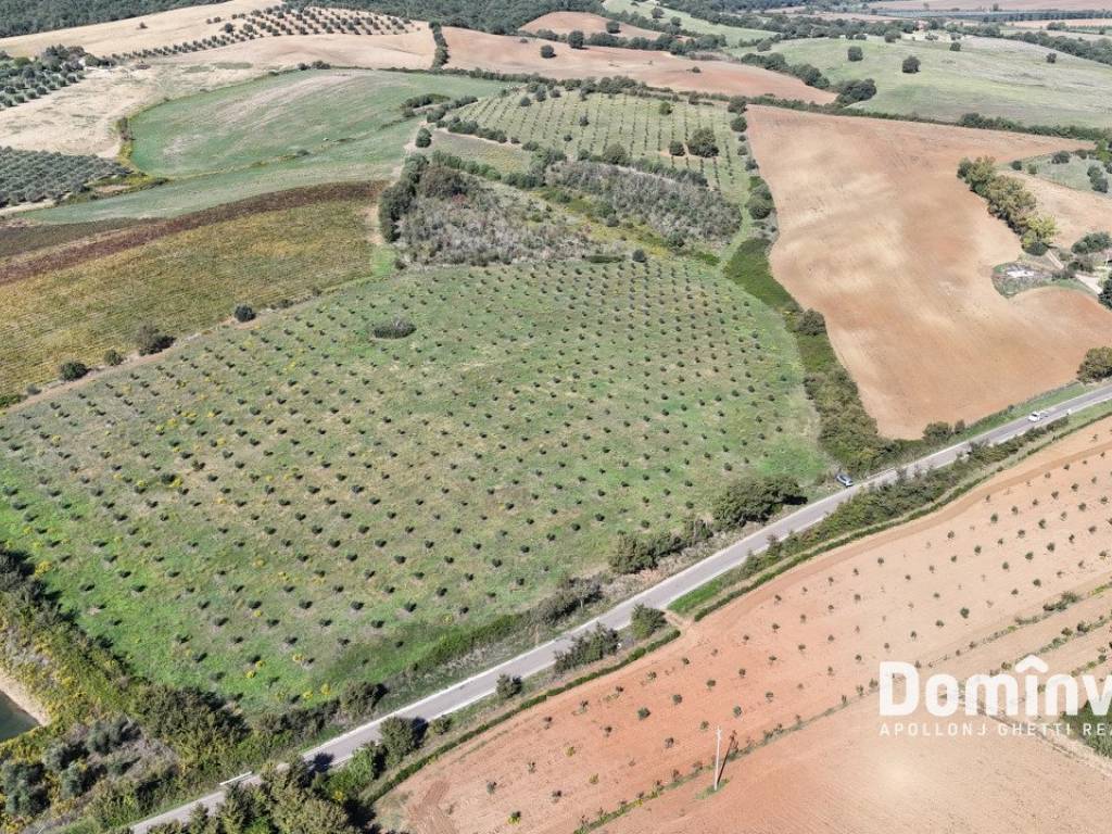 Terreno a Capalbio in Strada valmarina - Foto 4