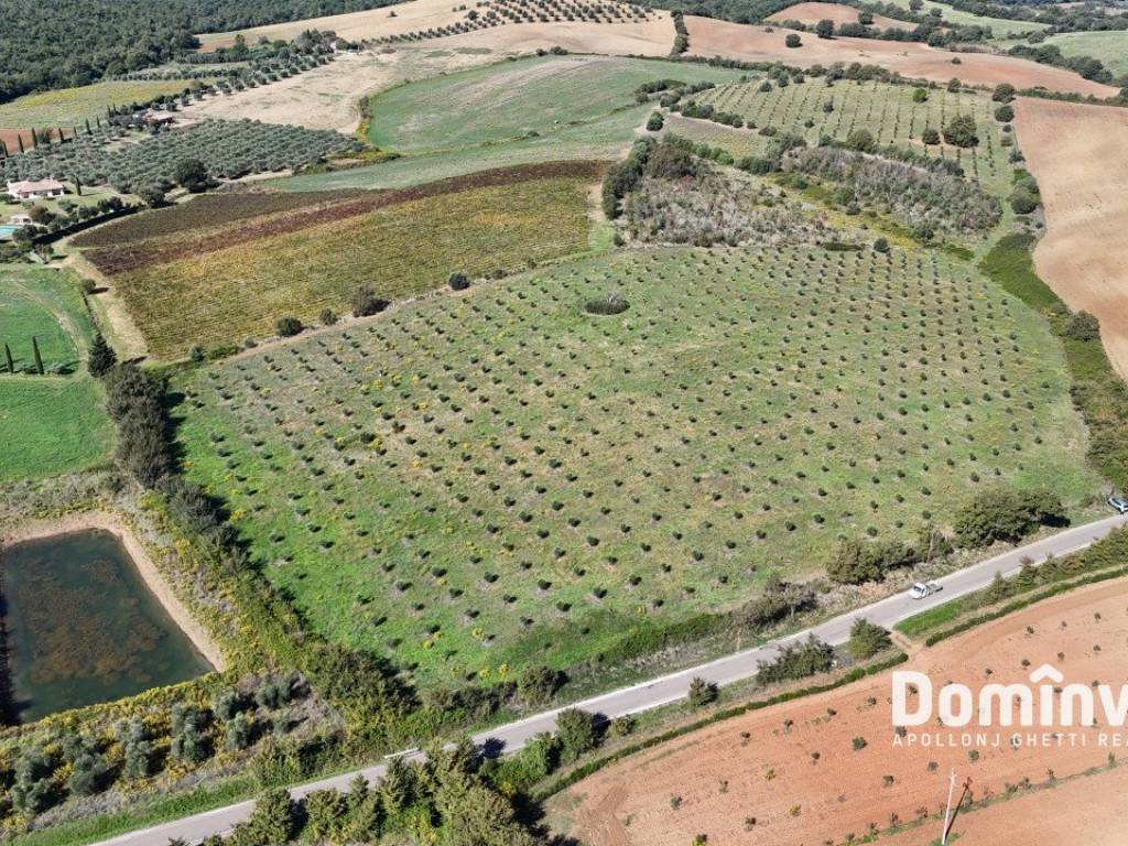 Terreno a Capalbio in Strada valmarina - Foto 5